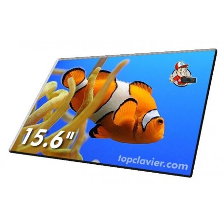 Dalle écran Packard Bell Easynote TX69